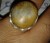 خاتم قديم من حجر الداودي العطف - صورة1