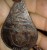 قلادة من حجر الداودي القديم المطلسم - صورة1