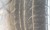 زوج اطارات شيري تيكو مستخدمه - صورة2