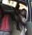 بيع سياره سوناتا 2012 - صورة3