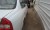 سيارة شيري EASTAR 2012 ببع نقد أو مراوس - صورة3