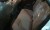 توكسان 2015 وكاله بانوراما للبيع - صورة2