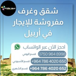1000086771