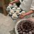 IMG-20251111-WA0010